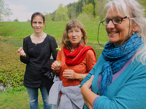 OptiVital Gesundheitsschule